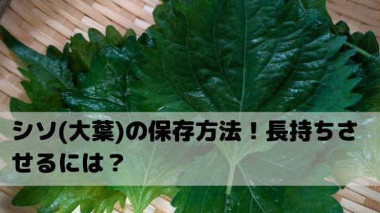 シソの保存方法