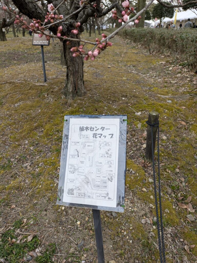 愛知植木センター花マップ