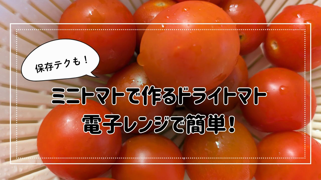ミニトマトで作るドライトマト